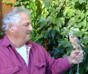 John and Teo, a Merlin who is also part of the BTBW education program. 