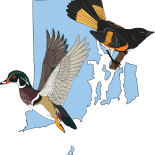 RI Bird Atlas 2.0 Documents Birds across Rhode Island